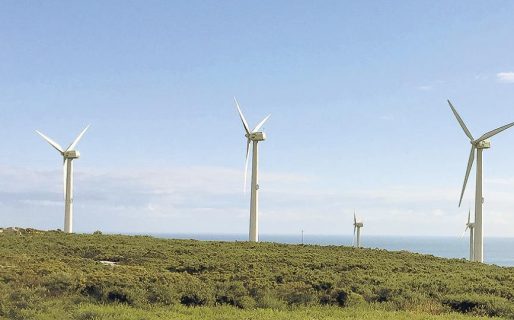 Baja integración nacional de los proyectos eólicos del programa oficial Renovar