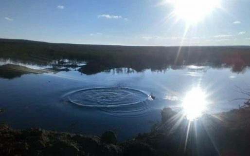 El lado más oscuro de Vaca Muerta y la responsabilidad penal de YPF