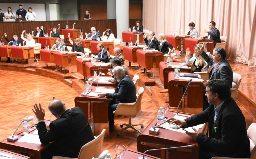 Touriñan: “El Ejecutivo tiene un interés oculto por eso liberó la zona de la Legislatura”