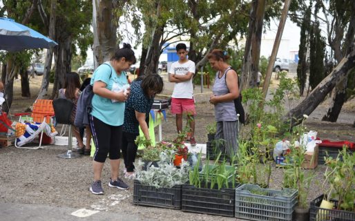 Exitosa jornada de la Feria de Productores edición Navidad
