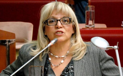 Diputada Muñoz: «no vamos a trabajar gratarola»