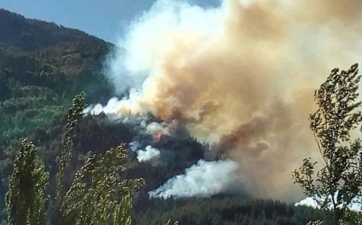 Trabajan para controlar incendio en los alrededores de Lago Puelo