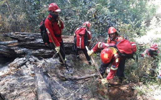 Lago Puelo: Suman refuerzos al operativo para controlar el incendio