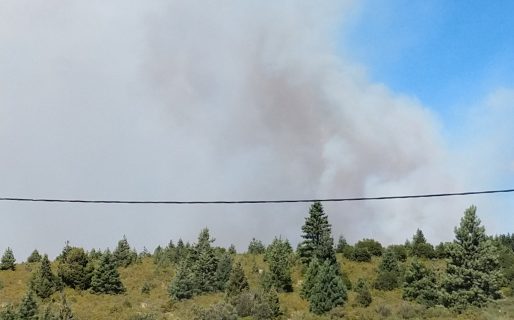 Ya son 300 las hectáreas arrasadas por el fuego en la cordillera