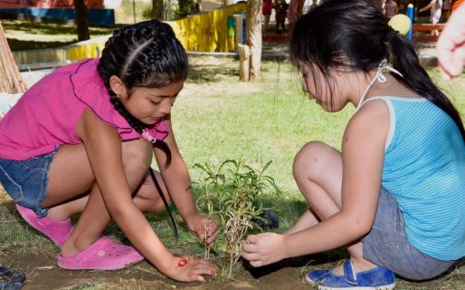 Los chicos de Patio Abierto plantaron árboles y flores en la plaza Padre Joaquín