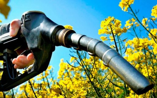 El Gobierno aumentó hasta un 3,9% el bioetanol