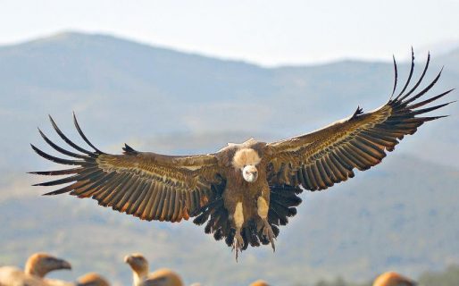 Presentaron una demanda contra Argentina por 83,7 millones de dólares