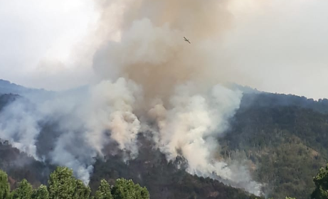 Lago Puelo: Suman brigadistas y medios aéreos para combatir el incendio