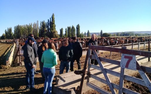 Impulsan la creación de un clúster ganadero en el VIRCh