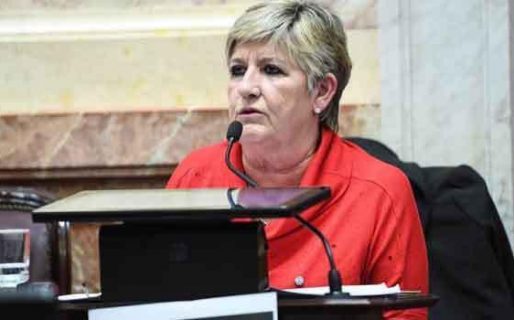 Canje de pasajes en el Senado: El ranking patagónico