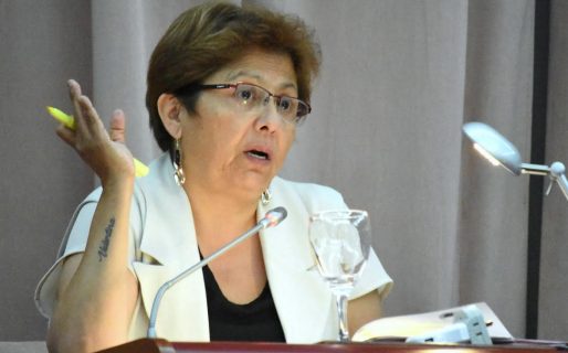 Navarro pide que Nacion condone las deudas de las Cooperativas con CAMMESA