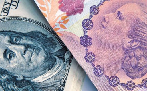 El bi-monetarismo, una idea de nueva convertibilidad para salir de la crisis