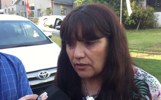 Interpelación: Cigudosa deberá responder 44 preguntas