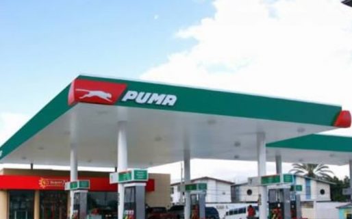 Tres nuevas marcas de naftas pelean el mercado local