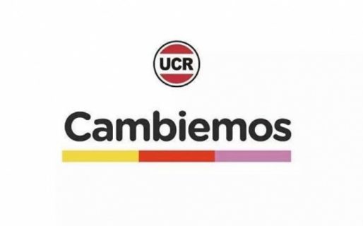 “El radicalismo no hizo la presión necesaria para participar del Gobierno”