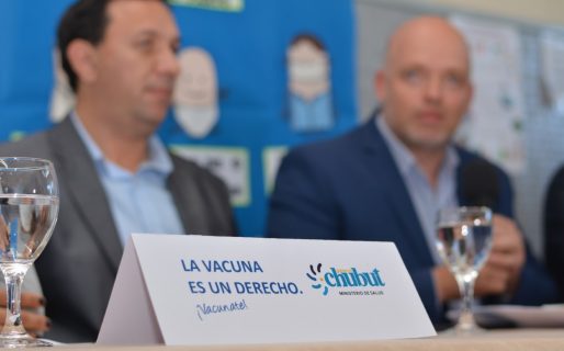 Más de 20.000 chubutenses ya se aplicaron la vacuna antigripal