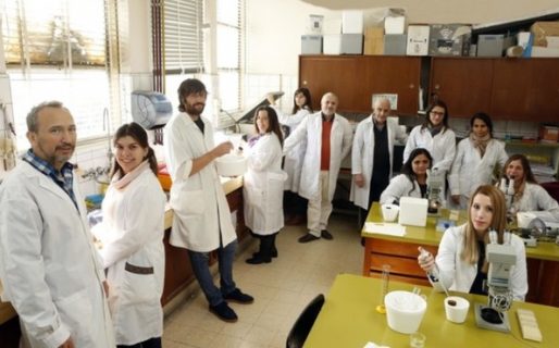 Científicos de la UNLP prueban nueva droga para combatir la diabetes