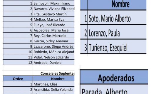Luque dice que le “operaron” la lista de concejales