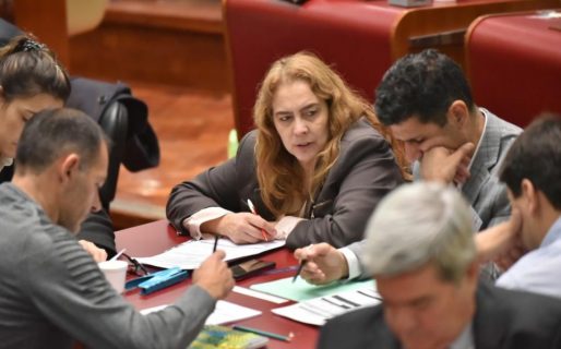 Finalizó el escrutinio definitivo