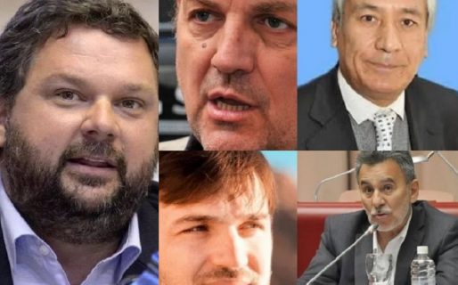 Diputados nacionales: Ocho candidatos para renovar tres bancas