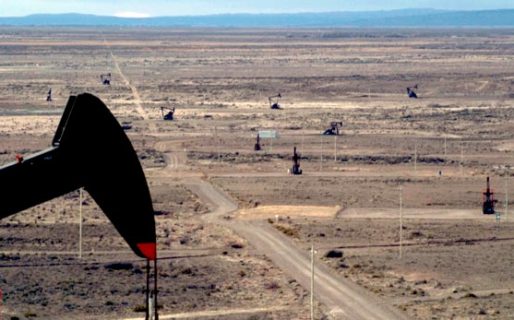 En un contexto de baja, Chubut sigue siendo la mayor productora