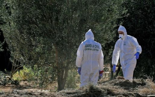 Le pidió a su amiga que guarde una caja con juguetes sexuales pero era la cabeza de su pareja