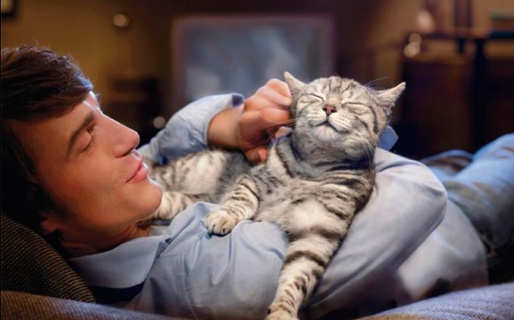 Fin del mito: a los gatos si les agradan las personas