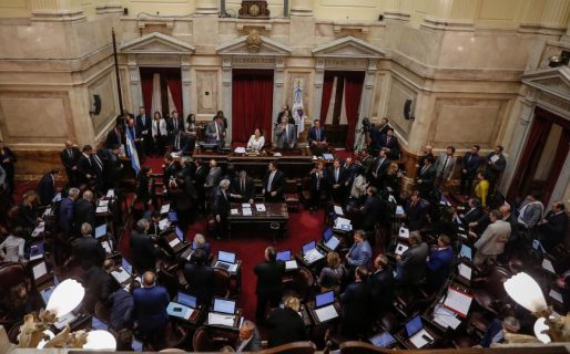 El Senado unánime con la Emergencia Alimentaria