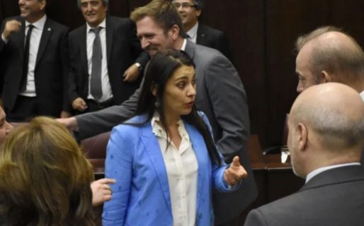 Ruptura definitiva en el bloque de senadores del MPN por la reelección