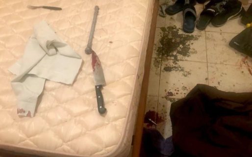 Asesinan brutalmente a un mago y su novia en San Fernando