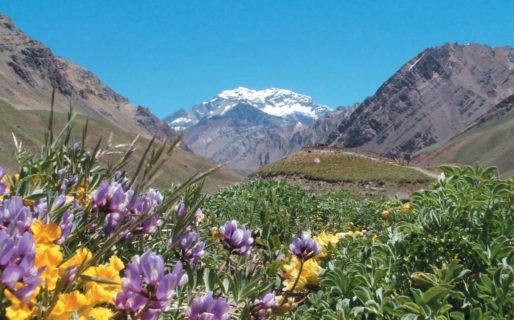 Mendoza se quiere independizar de Argentina