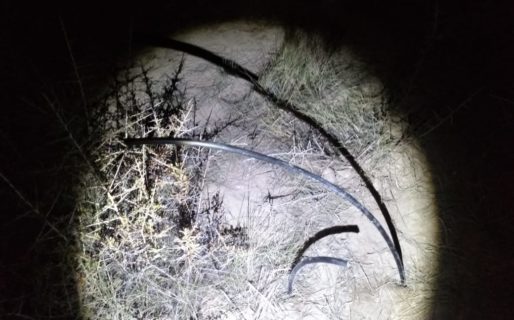 Policía del Chubut intervino ante un nuevo corte de fibra óptica