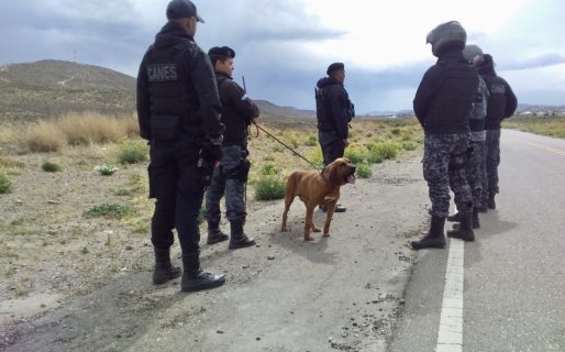 Búsqueda de Alexis: Encuentran un cuerpo en Arroyo La Mata