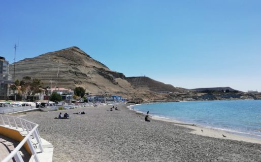 Bienvenido finde: se esperan jornadas agradables para los próximos días