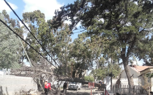 Barrios sin luz por el temporal de viento