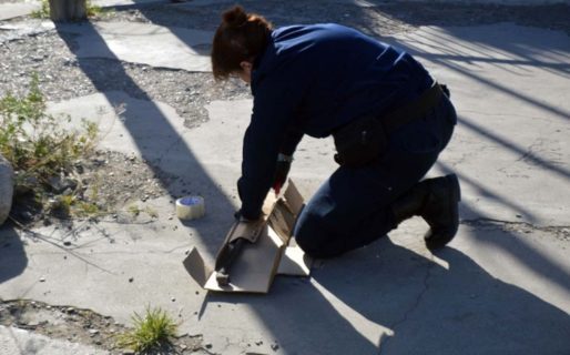 El indigente golpeado evoluciona favorablemente y pasó a sala común