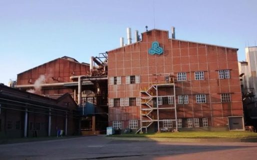 Ledesma despidió a otros 90 trabajadores