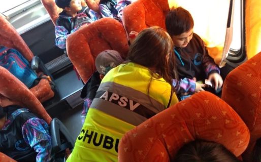 Realizan controles preventivos en micros de corta y media distancia