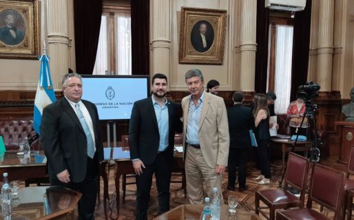 ﻿Menna es el único chubutense miembro pleno de la Comisión Bicameral