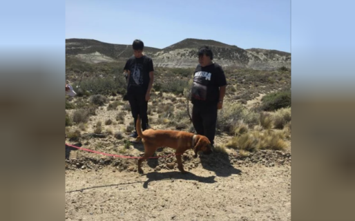 Buscan al abuelo desaparecido con máquinas excavadoras y perros adiestrados