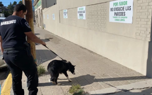 Ahora buscarán en el mar a Victorio Joursin