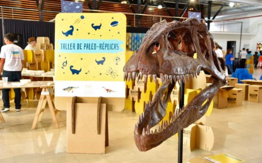 “Ciencia en Acción” llega a la ciudad de la mano de PAE y de la Municipalidad