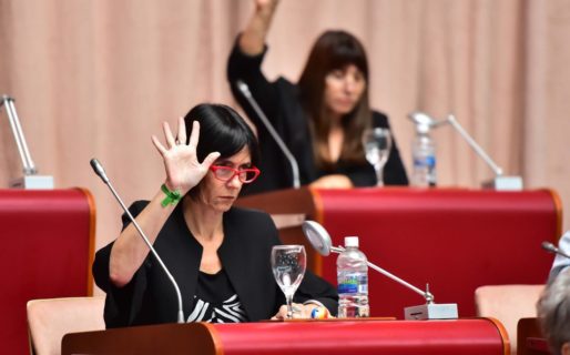 Williams: «Están queriendo avanzar en una ley sin ningún consenso»