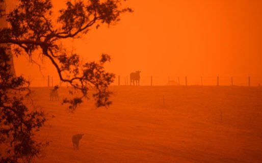 Australia: Las causas del incendio