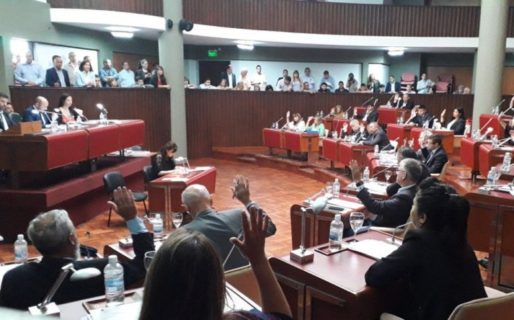Diputados del Frente de Todos proponen suspender sus aumentos por 180 días