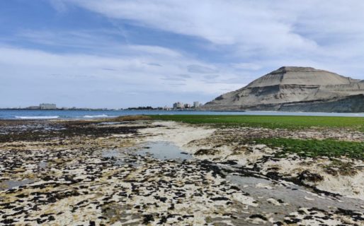 Este martes baja la temperatura y la intensidad del viento