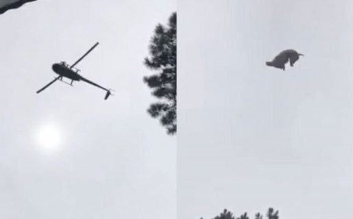 Era un cordero: la historia detrás de la “broma” pesada al empresario Federico Álvarez Castillo