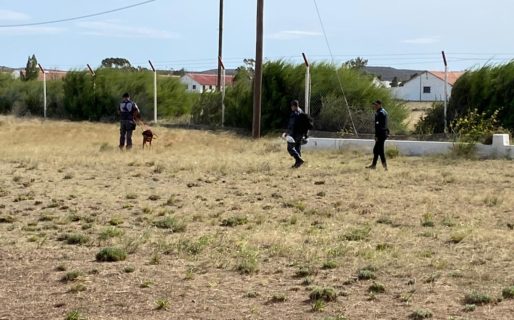 Más de 100 policías buscan al abuelo desaparecido en Km 8