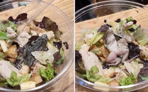 Otra que la mosca en la sopa: cenaban en un shopping y encontraron una rana en la ensalada