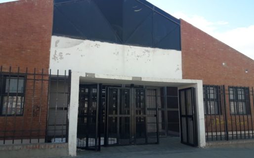 Padres de la escuela 738 preocupados por una plaga de palomas